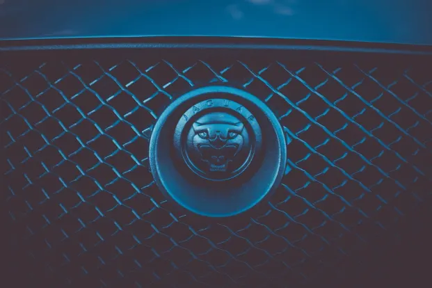 Cleopatra Kasino Apl Android/iOS